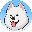 Samoyed