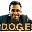 Head of D.O.G.E