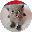 snipy