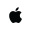 Apple Inc (Derivatives)