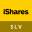 iShares Silver Trust (Derivatives)