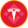 Tesla Tokenized bStocks