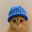 catwifhat (catwifhat.us)