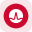 Broadcom Tokenized Stock (Reality)
