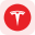 Tesla Tokenized Stock (Reality)
