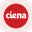 Ciena Tokenized Stock (Reality)