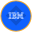 IBM Tokenized bStocks
