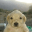 Jotchua (jotchua.net)