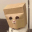 Anonymous Cat