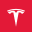 Tesla Inc. Tokenized Stock (Coinbase)
