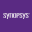 Synopsys Inc (Derivatives)