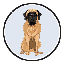 Mastiff Inu (MINU)