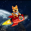 Starship Doge (STARSHIPDOGE)