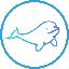 Beluga Protocol (BELA)