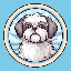 Shih Tzu (SHIZU)