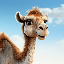 The Camel (CAMEL)