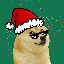 Christmas DOGE (XDOGE)