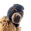 Ski Mask Dog (SKI)