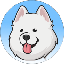 Samoyed (SAMMY)