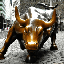 Wall Street Bull (BULL)