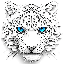 Snow Leopard (SNL)