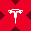 Wrapped Tesla Tokenized stock (xStock) (WTSLAX)