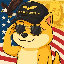 Doge Grok Companion (DOGE)