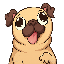 Pug Inu (PUG)