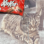 Remember KitKat (KITKAT)