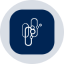 Capricor Therapeutics Tokenized Stock (Ondo) (CAPRon)
