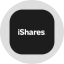 iShares Bitcoin Trust Tokenized Stock (Ondo) (IBITon)