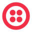 Twilio Inc (Derivatives) (TWLO)