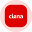 Ciena Tokenized Stock (Ondo) (CIENon)