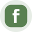 Fabrinet Tokenized Stock (Ondo) (FNon)