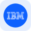 IBM Tokenized Stock (Reality) (rIBM)
