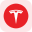 Tesla Tokenized Stock (Reality) (rTSLA)