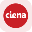Ciena Tokenized Stock (Reality) (rCIEN)