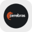 CBRS Tokenized Stock (Reality) (rCBRS)