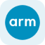 Arm Tokenized Stock (Reality) (rARM)