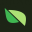 Pear Protocol (PEAR)