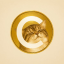 Catecoin (catecoin.shop) (CATE)