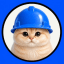 Basecat (BASECAT)