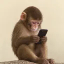 apeonfone (FONE)