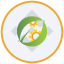 CEA Industries Tokenized bStocks (BNCB)