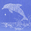 Dolphin (POD)