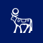 Novo Nordisk A/S Tokenized Stock (Coinbase) (NVOc)