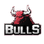 BULLS (BULLS)